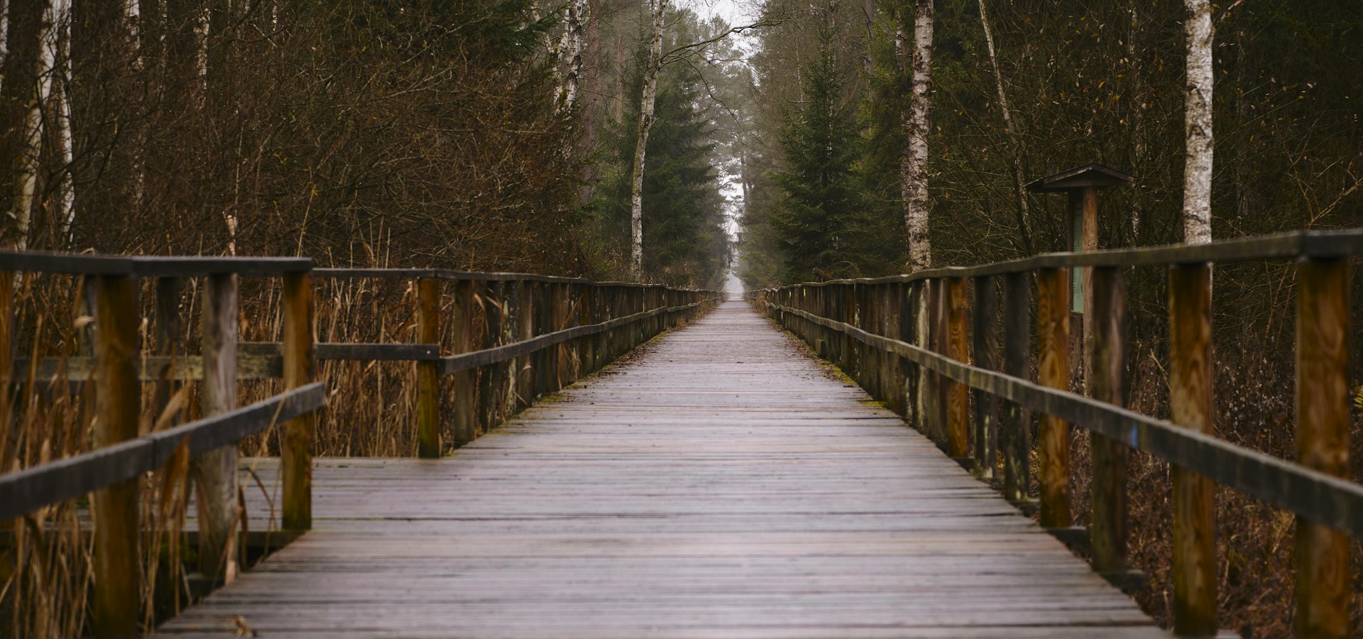 Passerelle en bois : créer des ponts vers l’emploi