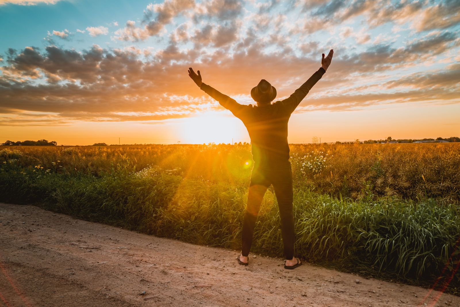 Un homme lève les bras face au soleil levant : un nouveau projet professionnel