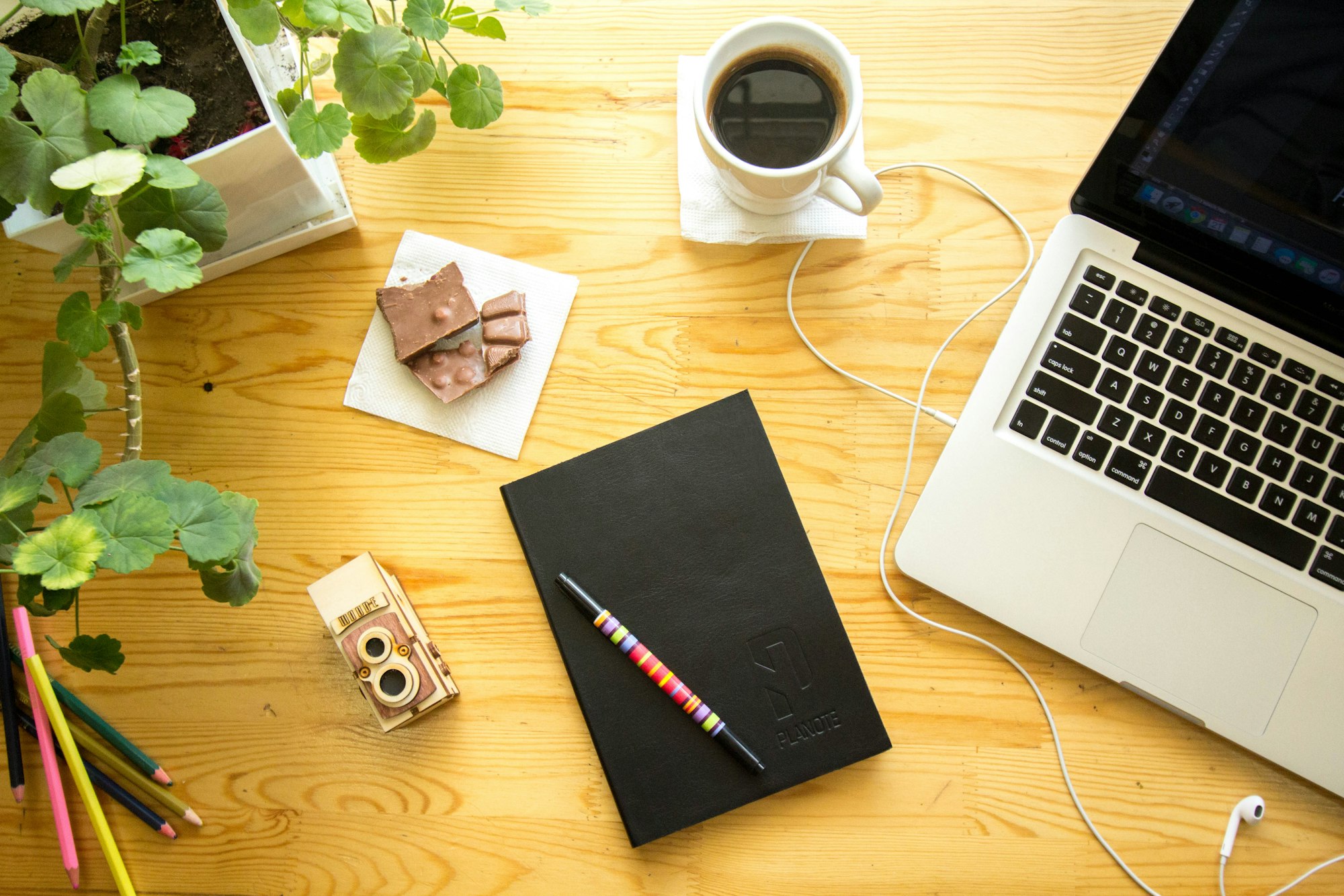 Carnet, ordinateur et plantes sur un bureau lumineux